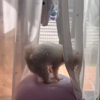 「おっと、危ない…」