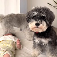 赤ちゃんの隣にお座り