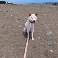 少し落ち着いたようです