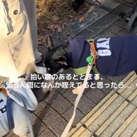 おしゃぶりを拾ったととまる君