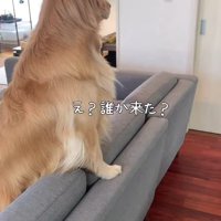サンちゃんの熱烈歓迎