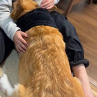 「大丈夫だよ」