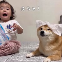 次のターゲットはうにくん