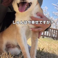 「いま、幸せですか？」