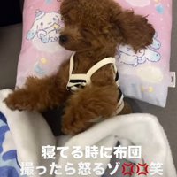 「安心できる場所はここ…」