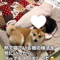 まるで保護者のよう…！
