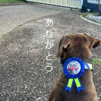 リバくんが2歳になるまで5