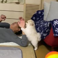 やんちゃならぽちゃん