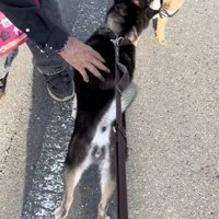 ちょっと引かれてる…？