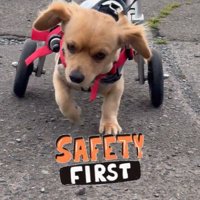お散歩兼パトロールを開始！