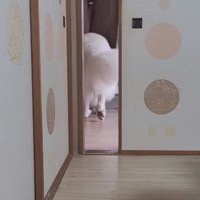 雪が見られるといいですね！