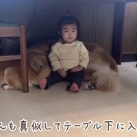 テーブルの下で…