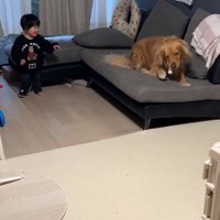 遊びに付き合うピノくん