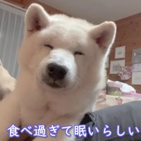 世界一幸せなあいちゃんでした