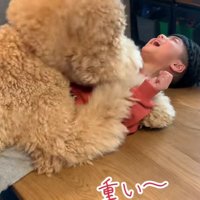 相手は小さな男の子！！