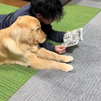 お兄ちゃんとべる君