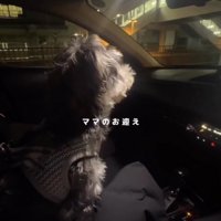 はるばるママのお迎えへ