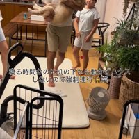男性に抱き抱えられる子犬