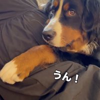 「まかせてっ」