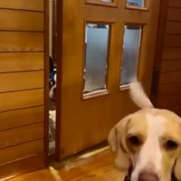 隙間から覗くマルタくん2