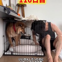 ケージに侵入されてドン引き…