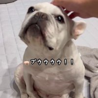 はなちゃんの体勢5
