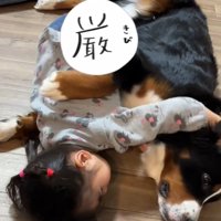 ベルちゃんに抱きつく娘さん