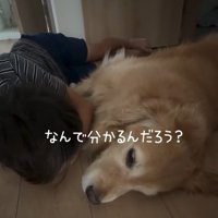 横並びの息子さんときなこちゃん