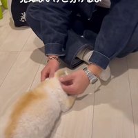 あたたかな再会に涙…
