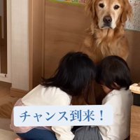 チャンスが到来！！