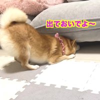 「大丈夫…？」