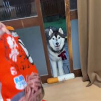 おやつで釣ってみると…