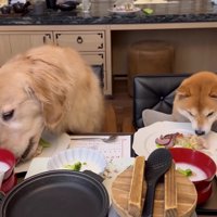 豪華なディナーに舌鼓♡