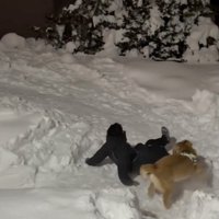 思いっきり転倒