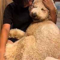 ふわふわで気持ちいい