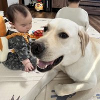 ニコニコ