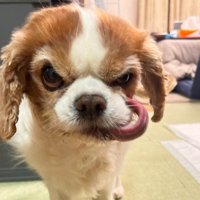 洋画の悪い上官…？