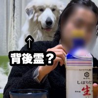 投稿主さんが食事をしていたとき