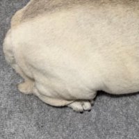 眠る