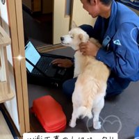 笑顔のお兄さん