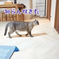 ぽんすけ君は逃げてしまいました…