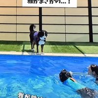 紐をパクリ