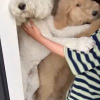 ますお君＆まるお君とママさんの再会7