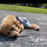 小枝が大好き！！