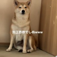 加工詐欺かな？