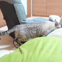 日常が戻ってよかったね！！