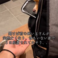 ひとりぼっちだったレモンちゃん