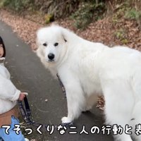 お散歩する2人の姿は…