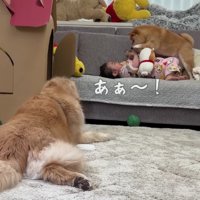 うにくんが狙って…