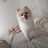 「まだ起きてないな…」